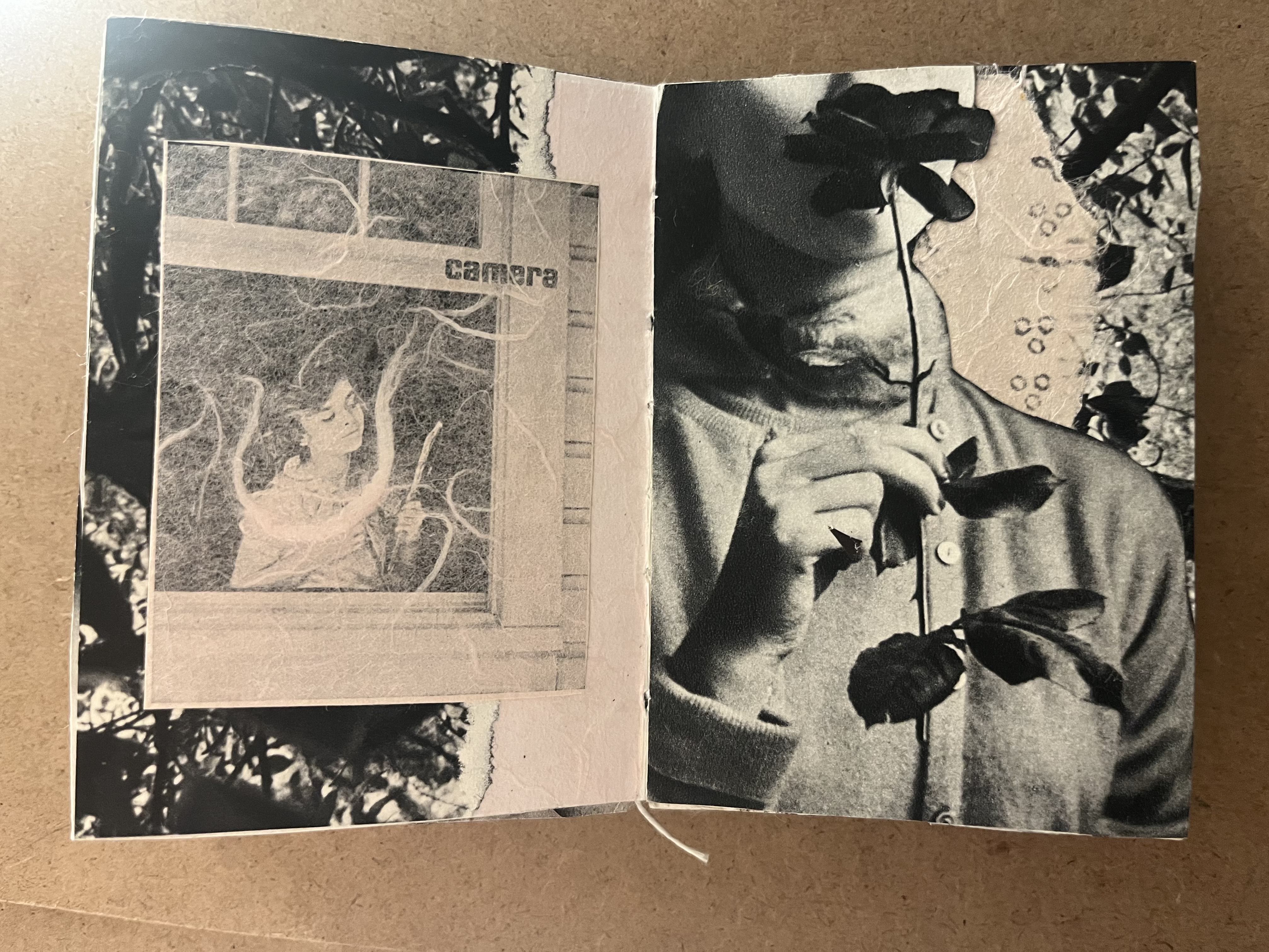collage